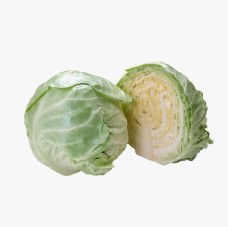 绿色蔬菜卷心菜图片