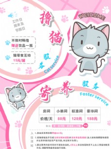 宠物猫咪宠物店猫咪生活馆粉色价格海报图片