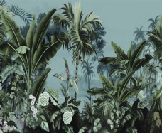 装饰背景绿色丛林植物森林背景装饰图图片