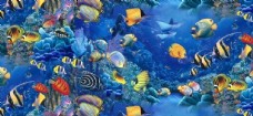 景观水景海底世界热带鱼图片