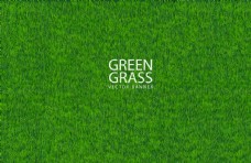 草地素材青草绿色背景图片