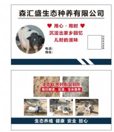 生猪养殖养猪场养殖场出售猪名片图片