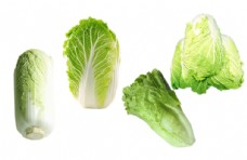 绿色蔬菜图片