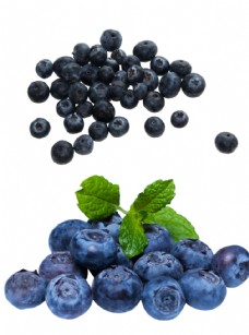 蓝莓水果素材图片
