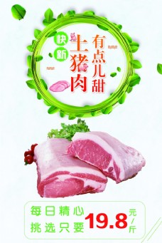 绿树猪肉图片