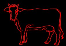 牛线稿动物手绘图片