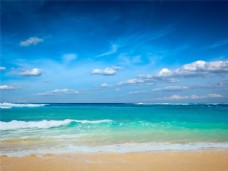 夏日海滩海滩棕榈椰树风景图片