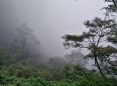云雾中的大瑶山图片