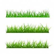 绿树青草植物图片