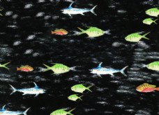 卡通抽象鱼图片