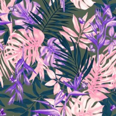平面设计热带植物图片