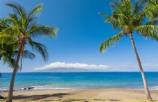 天空海滩棕榈椰树风景图片