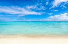 海景海滩棕榈椰树风景图片