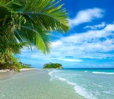 天空海滩棕榈椰树风景图片
