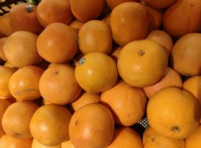 武鸣沃柑橘子图片