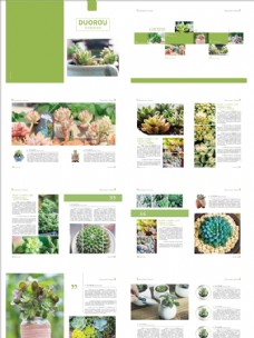 企业文化植物画册图片