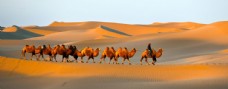 自然风光图片沙漠图片