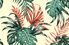 画册设计热带植物图片