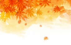 中国风设计秋天枫叶背景图片