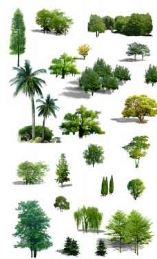 树图片