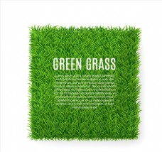 草地素材方形绿色草坪矢量图片