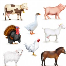 猪矢量素材家禽动物矢量图片