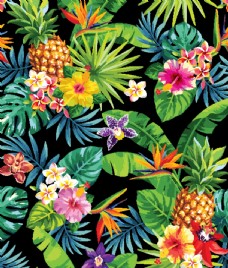 菠萝热带植物图片