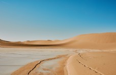 沙漠和淡水湖图片