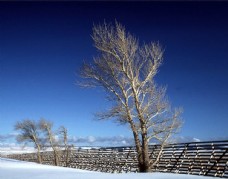 雪山风景美丽的雪景山水风格摄影美图图片