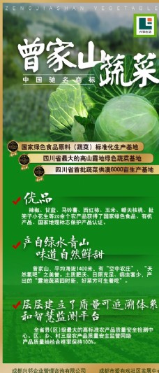 蔬菜海报x展架易拉宝图片