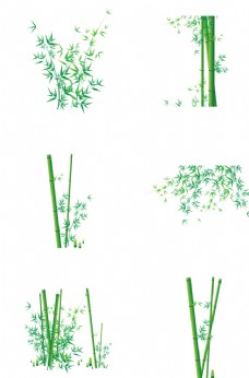 绿背景绿色竹子图片