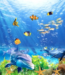 生物世界海底世界图片