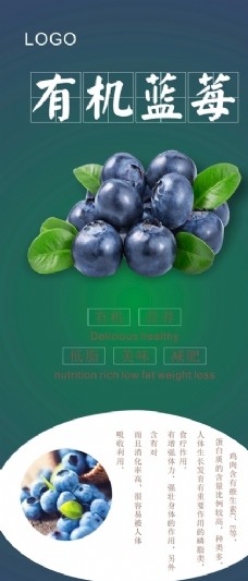 进口蔬果蓝莓展架图片