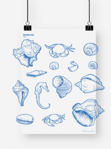 贝壳螃蟹海马图片