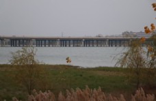 大桥河面图片