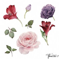 女童印花手绘玫瑰图片