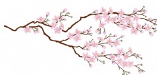 牡丹桃花图片
