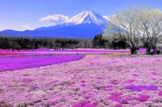 雪山日本富士山图片