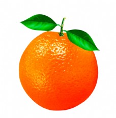 包装设计脐橙橘子图片