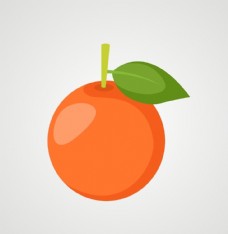 果蔬橙子橘子矢量橙子图片