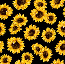 花纹无缝向日葵数码印花图片
