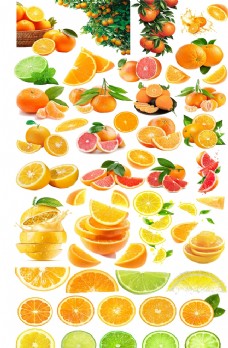 橙子免抠图汇总图片