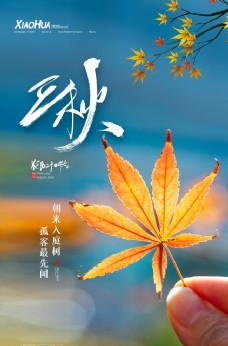中国风设计立秋图片