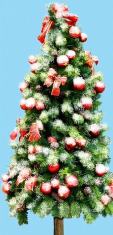 圣诞装饰树木节日图片