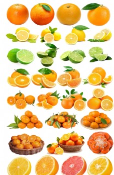 沃柑图片橙子免抠图汇总图片