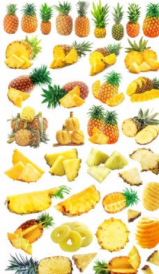 CAD图集菠萝凤梨免抠图汇总图片