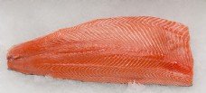 日系日韩料理三文鱼图片