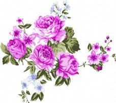 女童印花手绘花朵花朵素材玫瑰图片