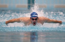 体育运动跳水运动游泳图片