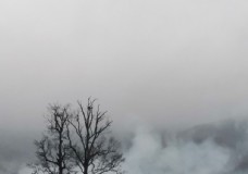 烟雨朦胧图片